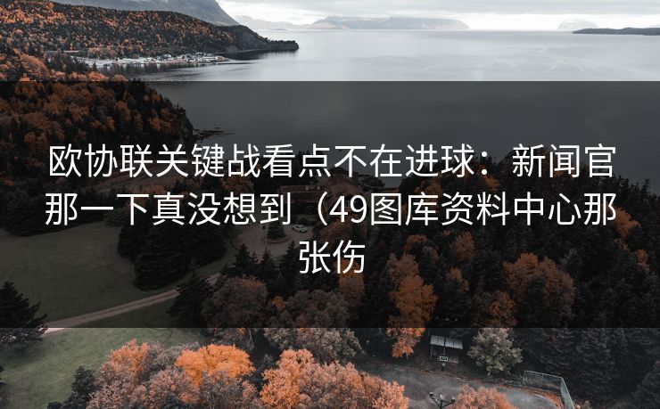 欧协联关键战看点不在进球:新闻官那一下真没想到(49图库资料中心那张伤 欧协联关键战看点不在进球:新闻官那一下真没想到(49图库资料中心那张伤