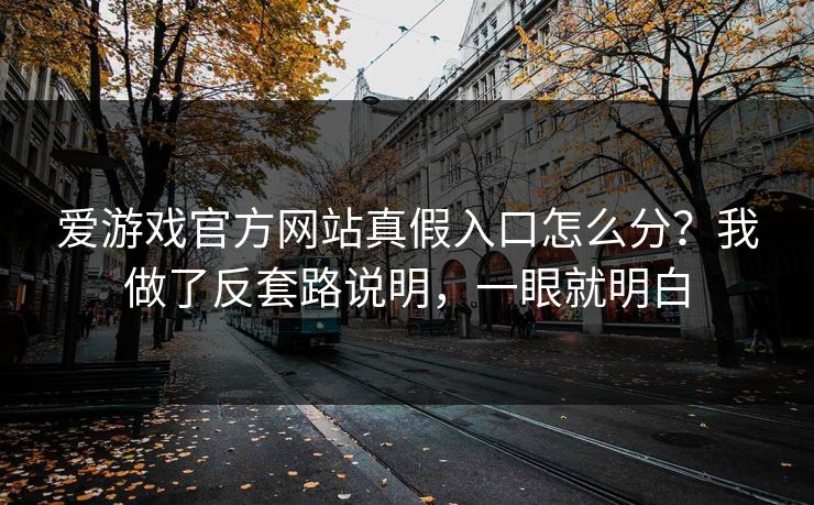 爱游戏官方网站真假入口怎么分？我做了反套路说明，一眼就明白
